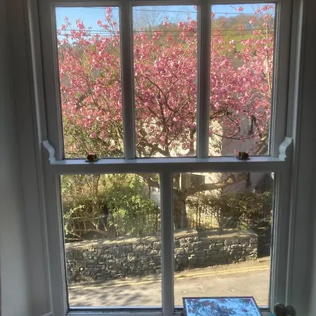 Blossom Cumbria 켄달