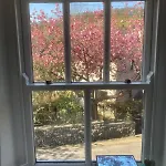 Blossom Cumbria 켄달