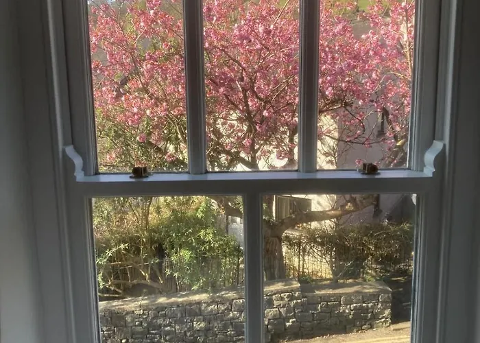 Blossom Cumbria Kendal