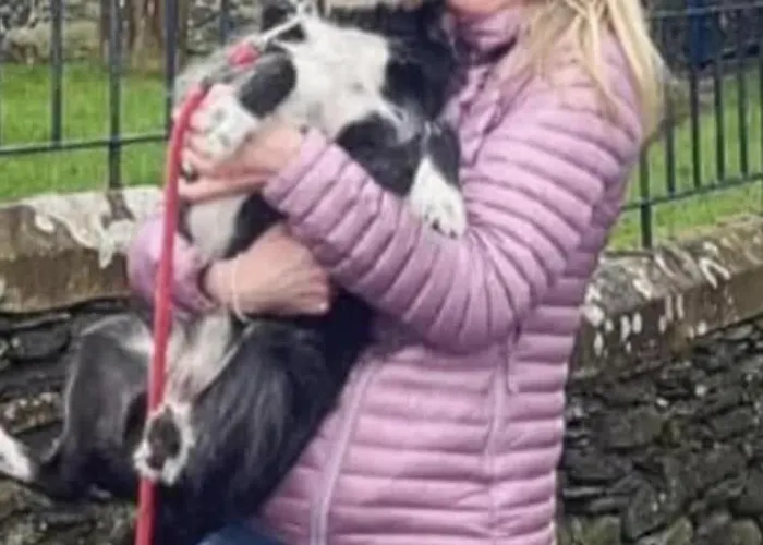 Holiday home Blossom Cumbria Kendal